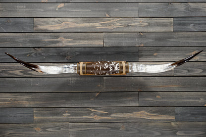 5' 3" Longhorn Wall Mount #316