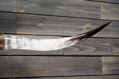 5' 3" Longhorn Wall Mount #316