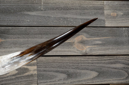 5' 3" Longhorn Wall Mount #316