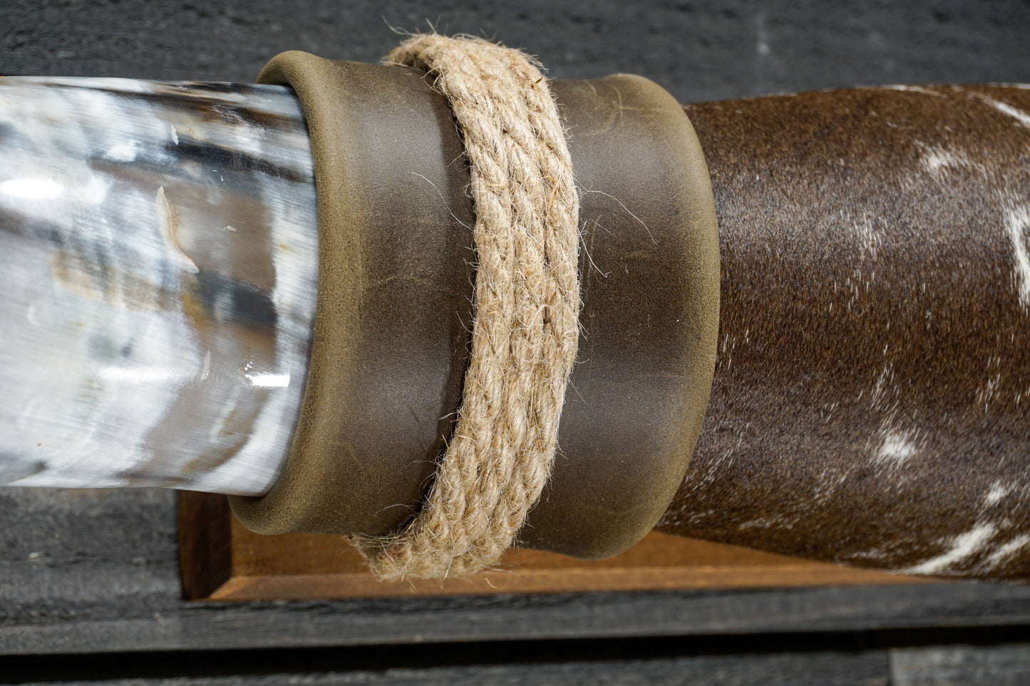 5' 3" Longhorn Wall Mount #316