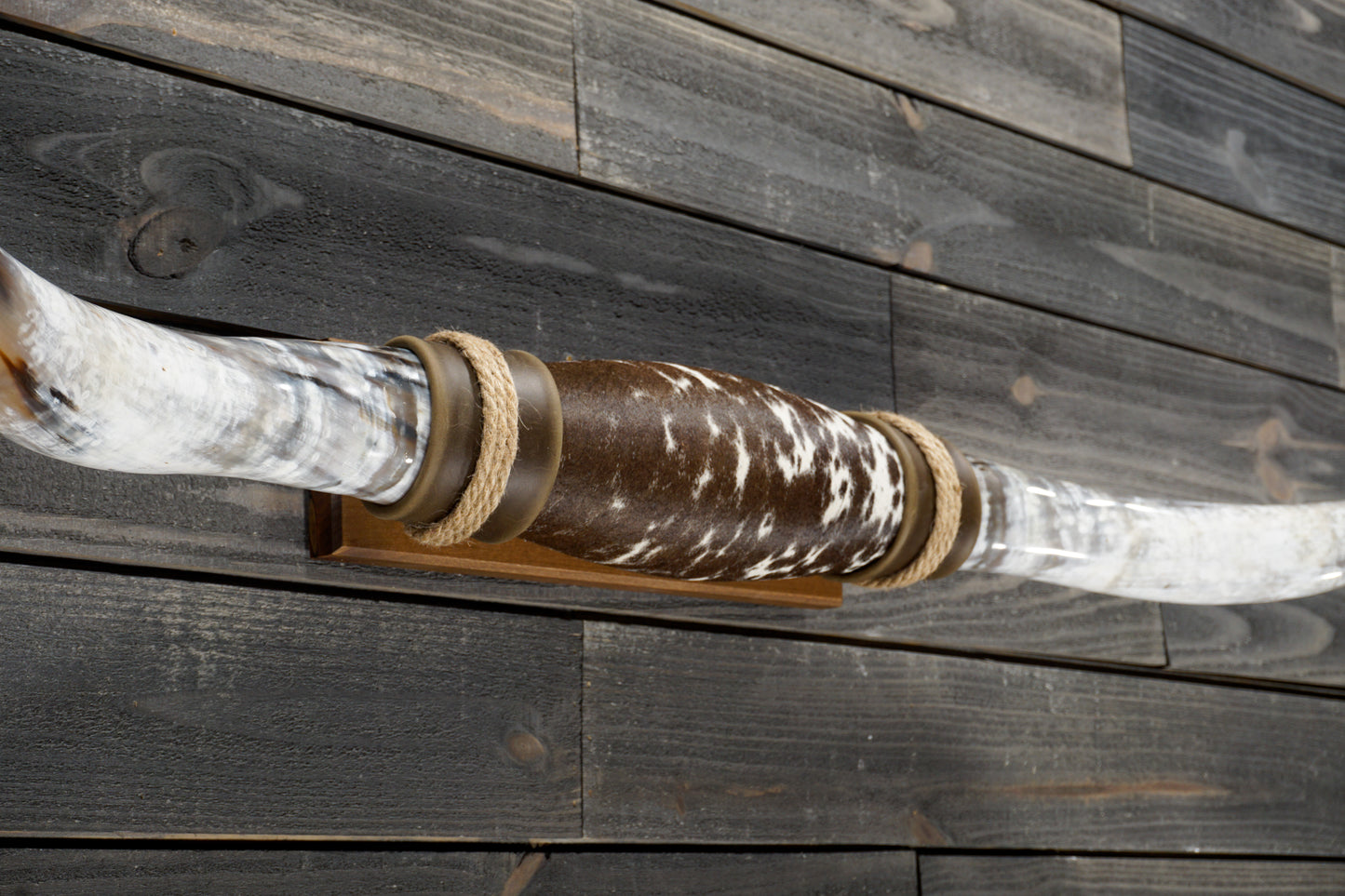5' 3" Longhorn Wall Mount #316