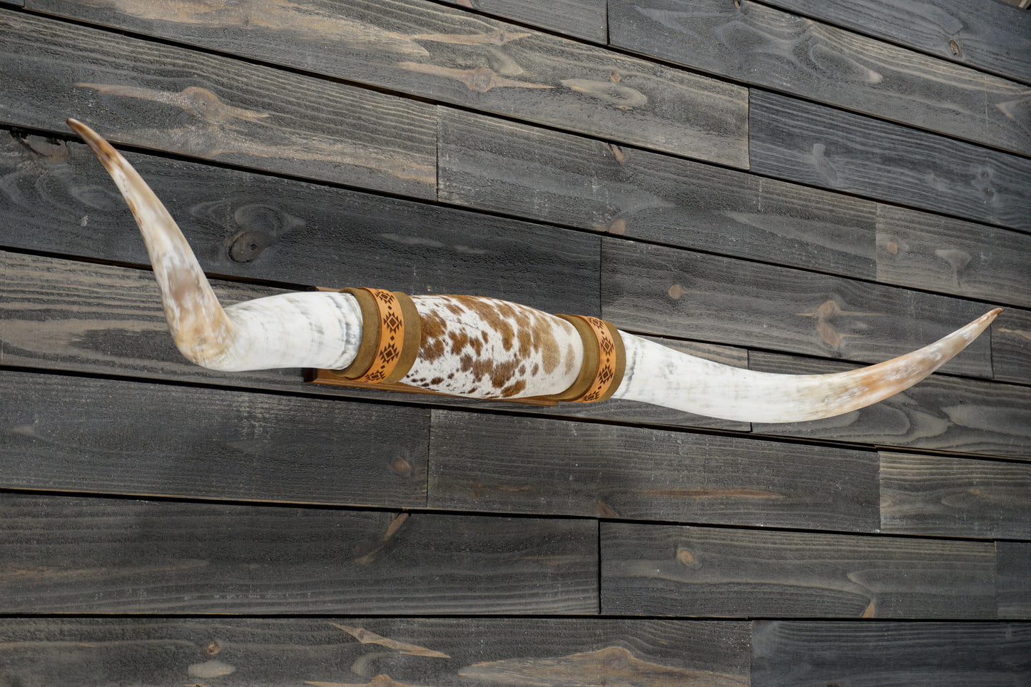 5' 2" Longhorn Wall Mount #323