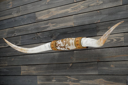 5' 2" Longhorn Wall Mount #323