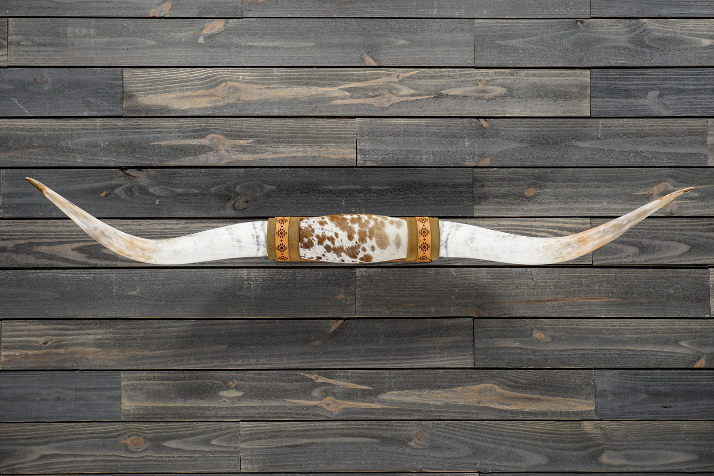 5' 2" Longhorn Wall Mount #323