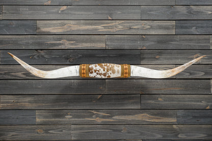 5' 2" Longhorn Wall Mount #323