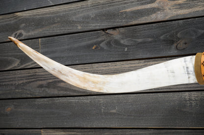 5' 2" Longhorn Wall Mount #323