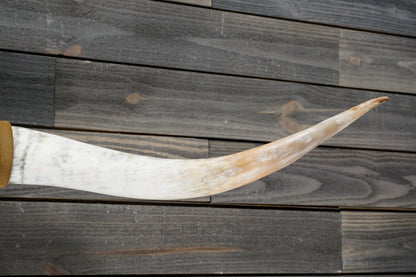 5' 2" Longhorn Wall Mount #323