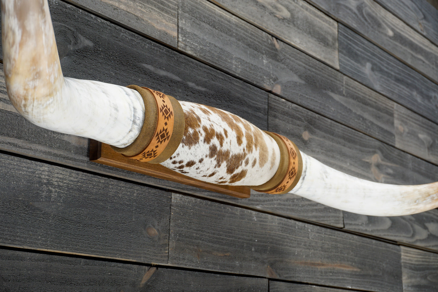 5' 2" Longhorn Wall Mount #323
