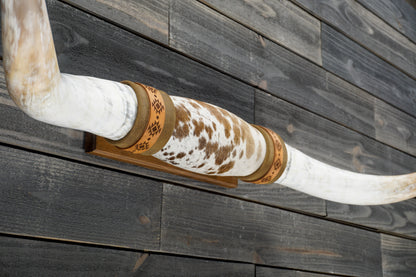 5' 2" Longhorn Wall Mount #323