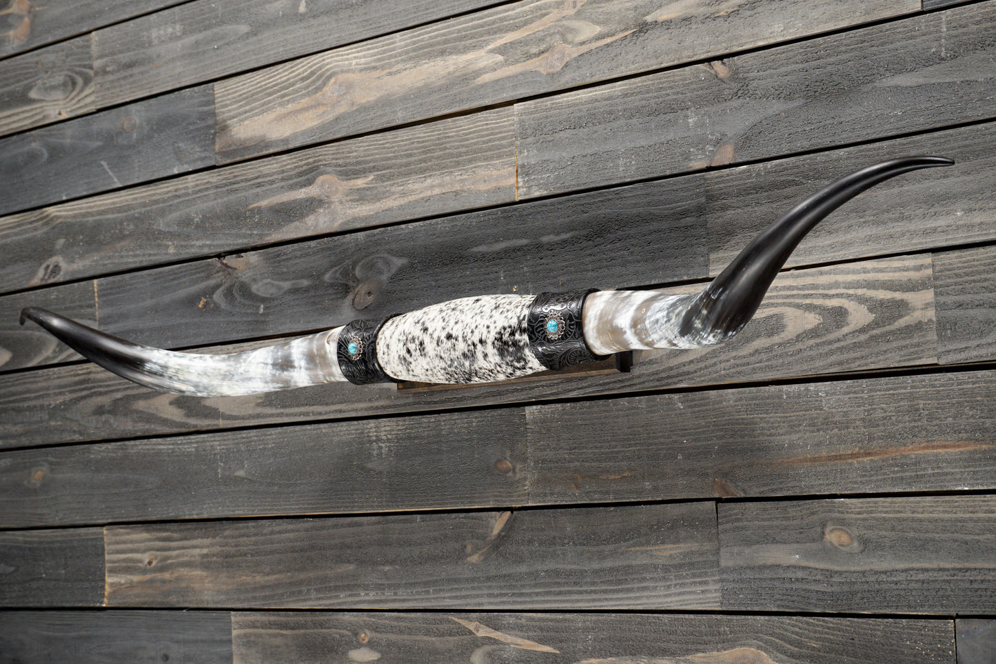 5' 5" Longhorn Wall Mount #328