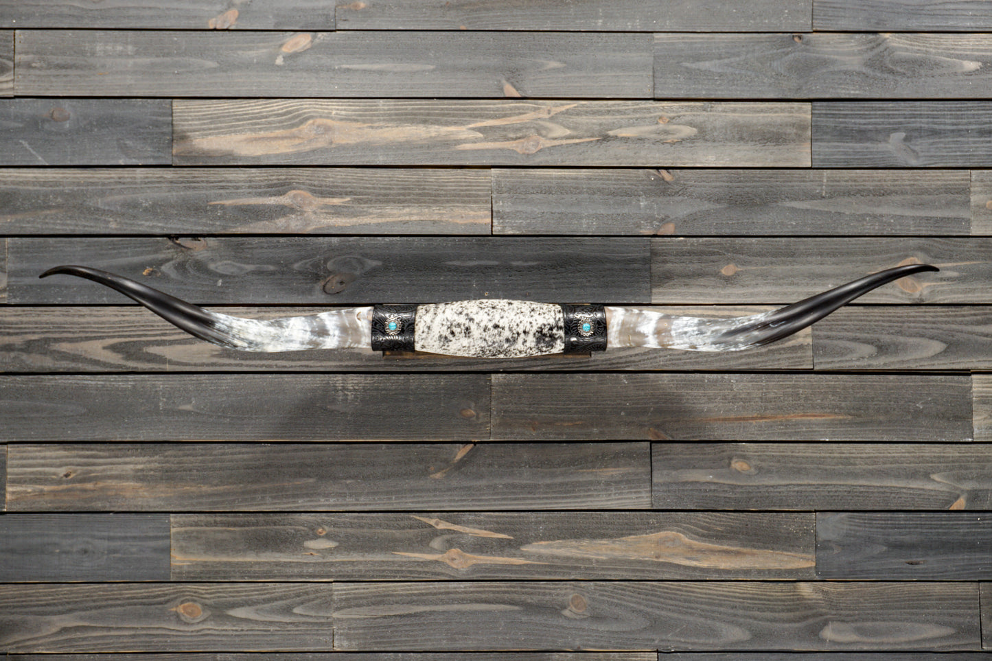 5' 5" Longhorn Wall Mount #328
