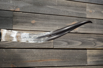 5' 5" Longhorn Wall Mount #328