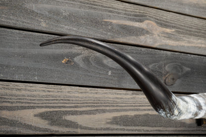5' 5" Longhorn Wall Mount #328