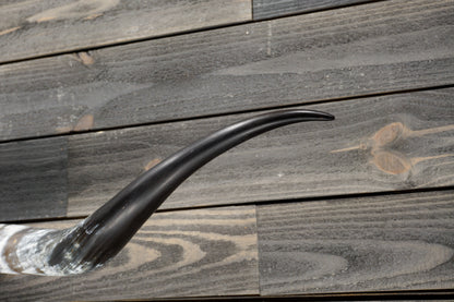 5' 5" Longhorn Wall Mount #328