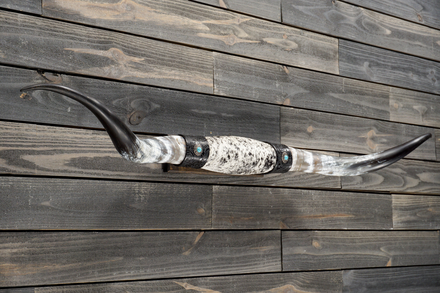 5' 5" Longhorn Wall Mount #328
