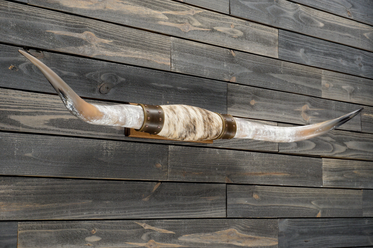 5' 4" Longhorn Wall Mount #337