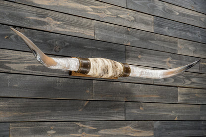 5' 4" Longhorn Wall Mount #337