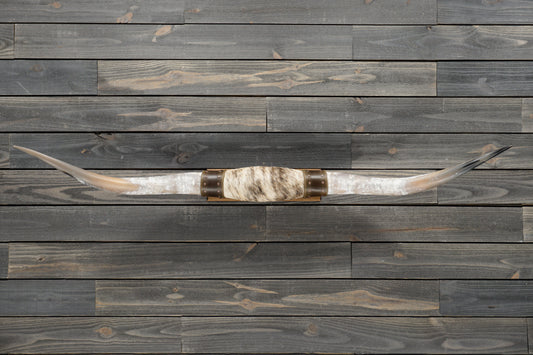 5' 4" Longhorn Wall Mount #337