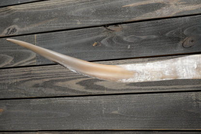 5' 4" Longhorn Wall Mount #337