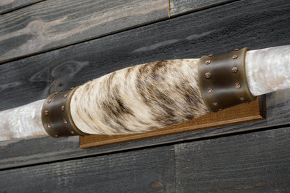 5' 4" Longhorn Wall Mount #337