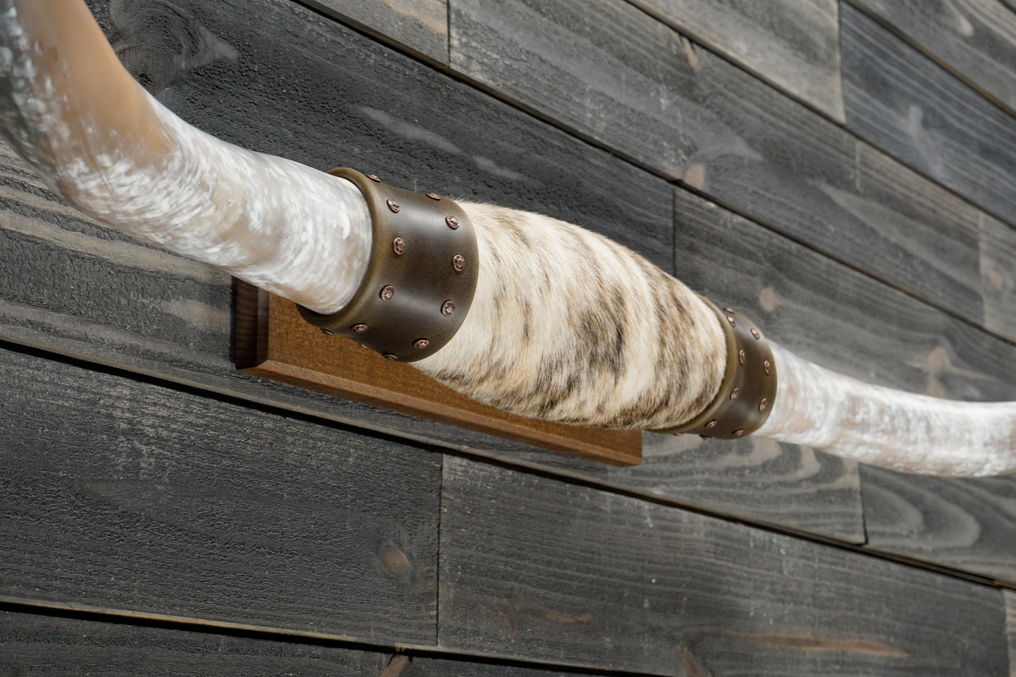 5' 4" Longhorn Wall Mount #337