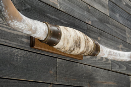 5' 4" Longhorn Wall Mount #337