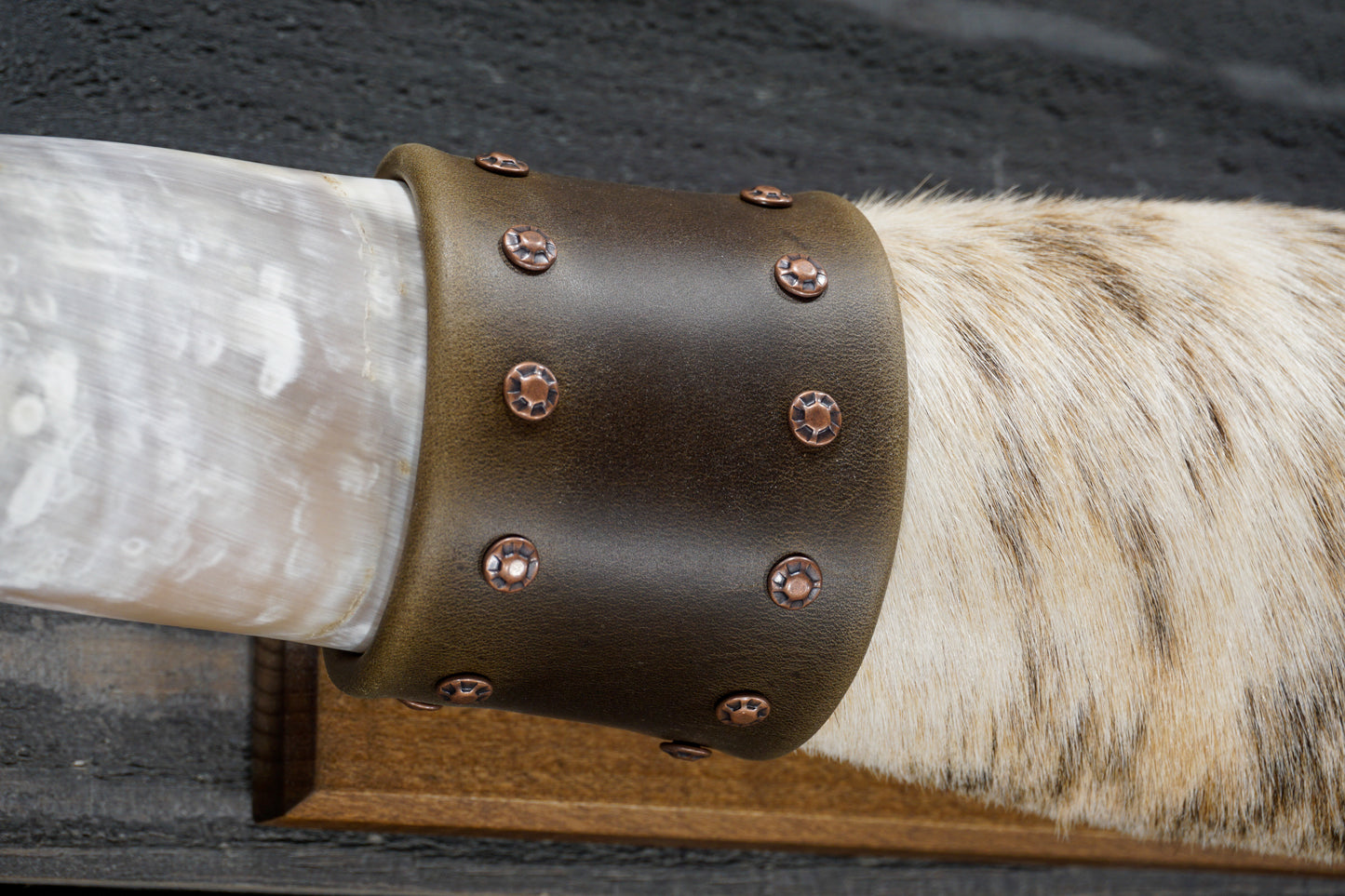 5' 4" Longhorn Wall Mount #337