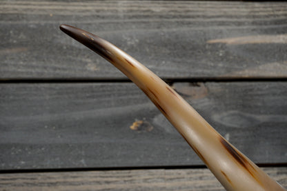 5' 0" Longhorn Wall Mount #343