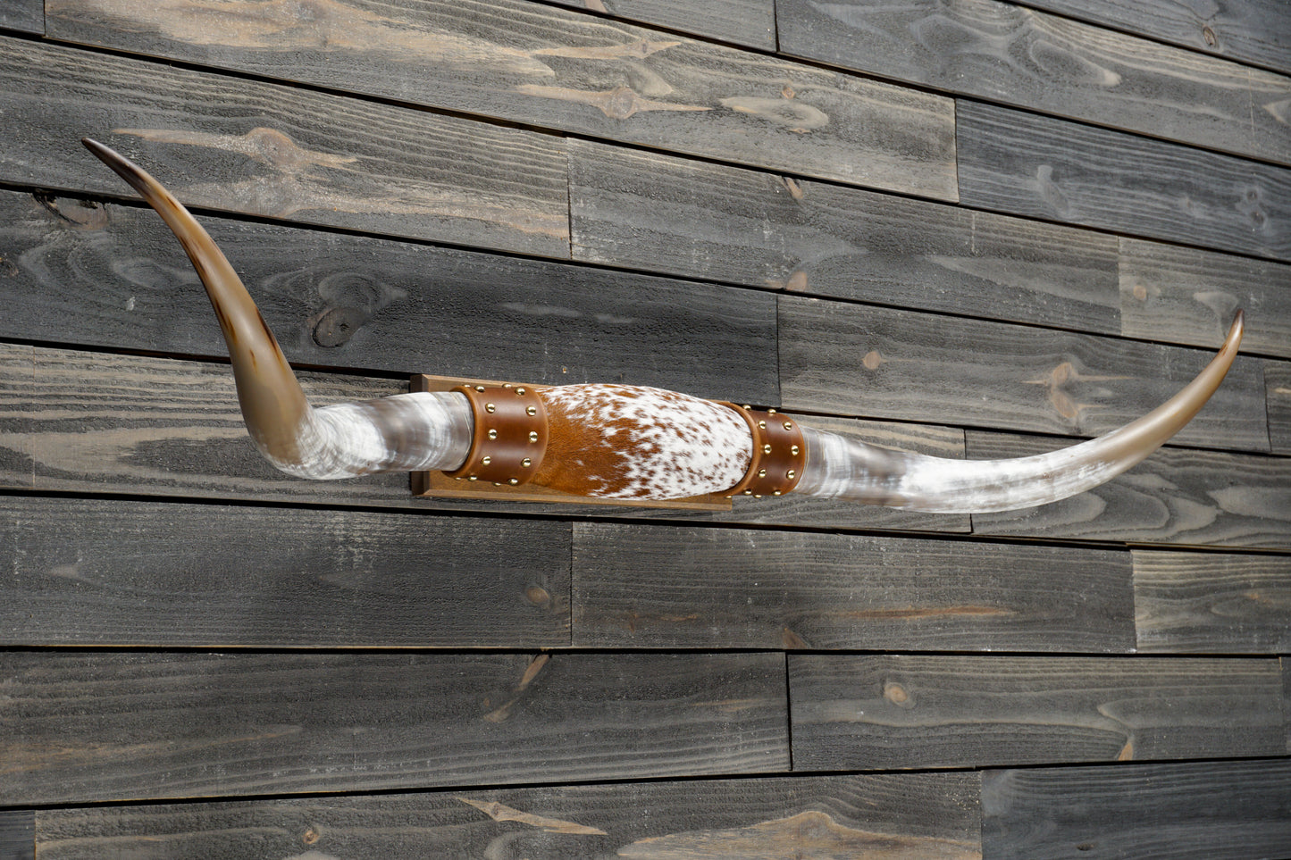 5' 0" Longhorn Wall Mount #343