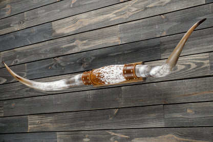5' 0" Longhorn Wall Mount #343