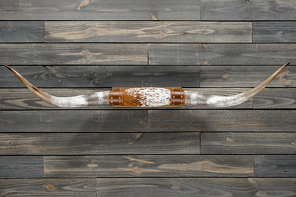 5' 0" Longhorn Wall Mount #343