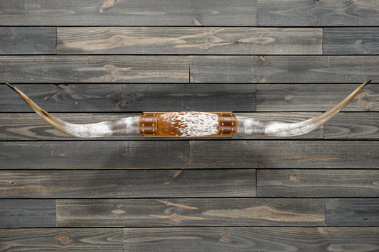 5' 0" Longhorn Wall Mount #343