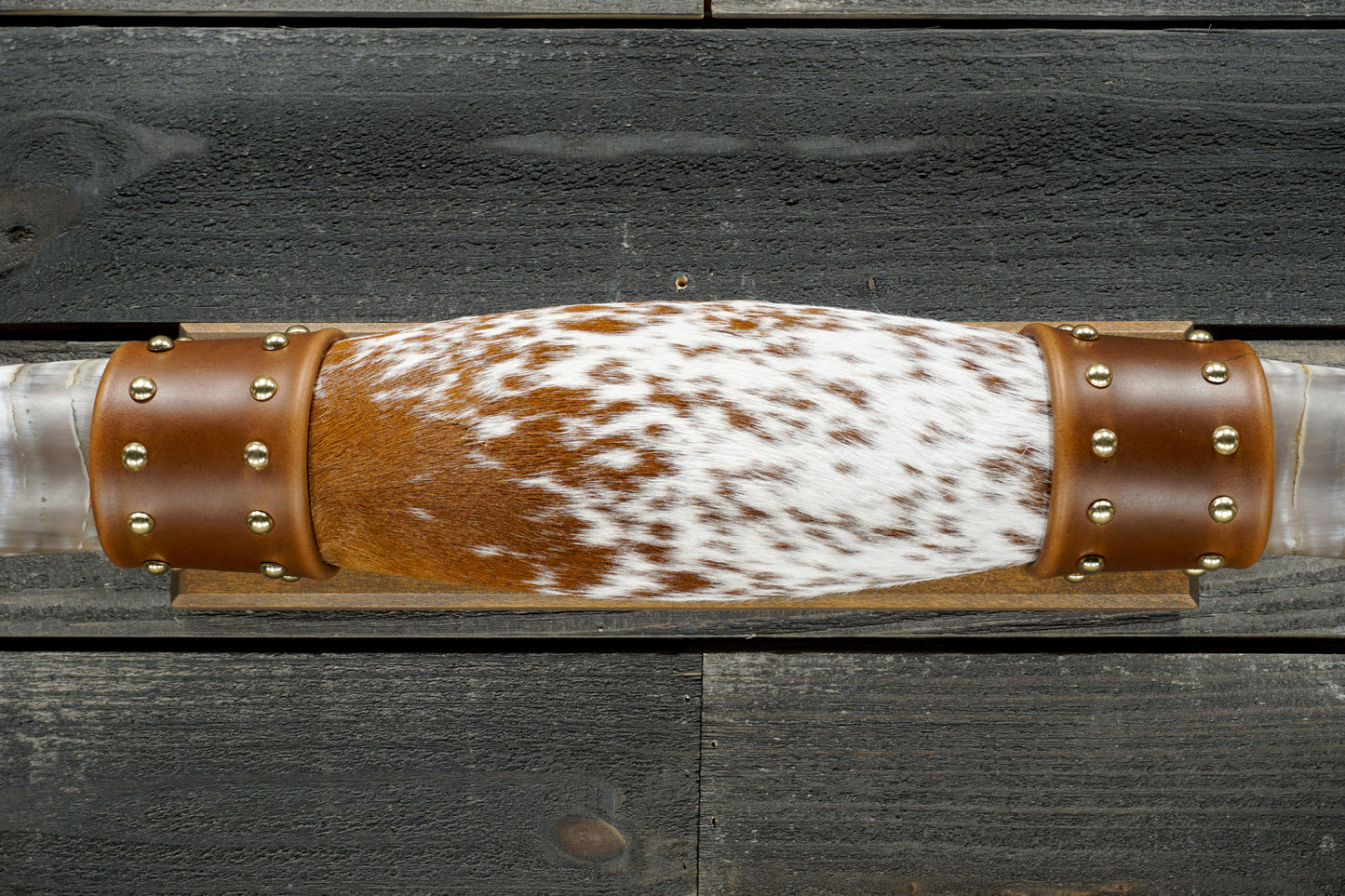 5' 0" Longhorn Wall Mount #343