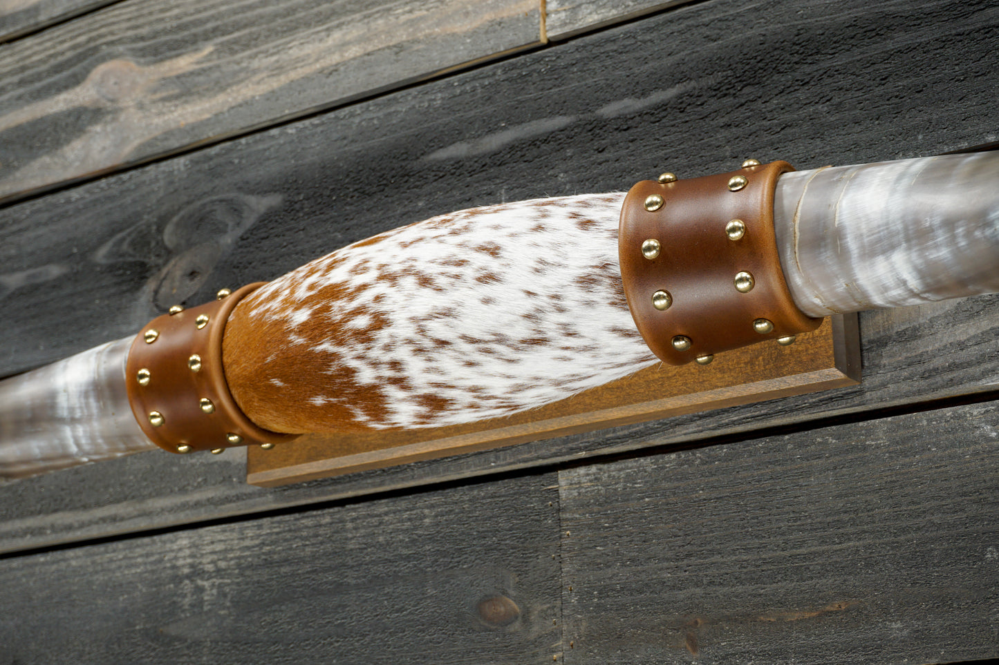 5' 0" Longhorn Wall Mount #343