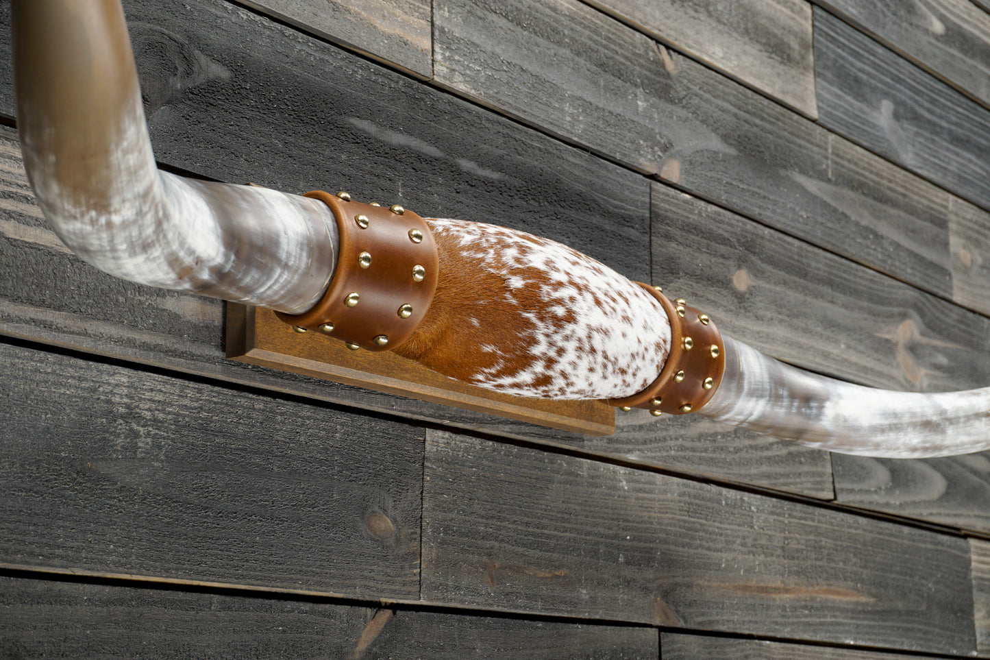 5' 0" Longhorn Wall Mount #343