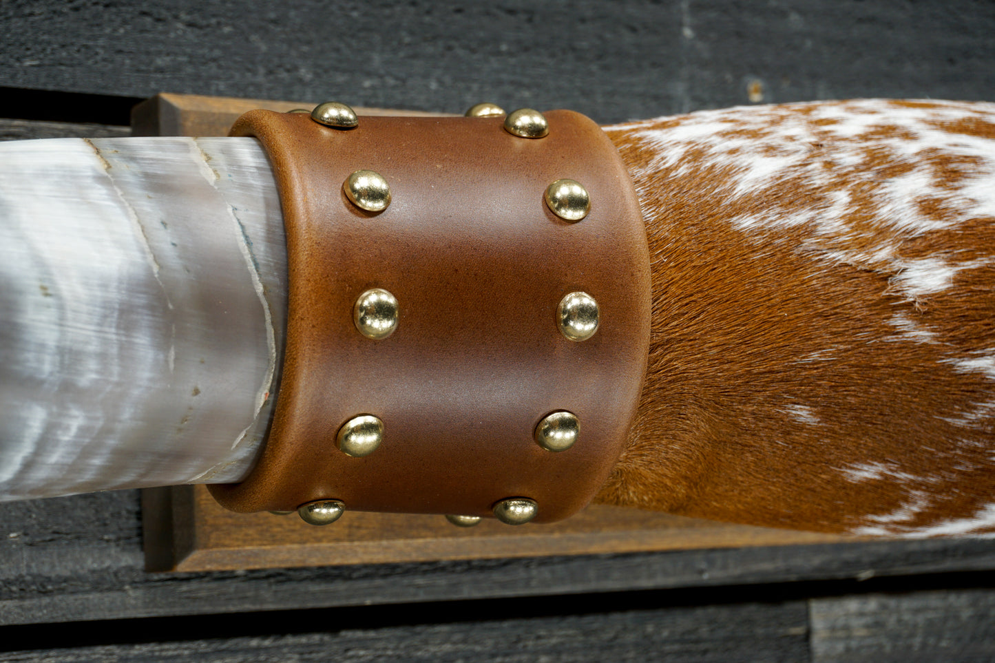 5' 0" Longhorn Wall Mount #343