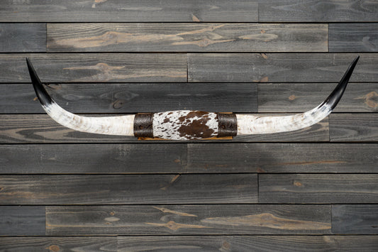 4' 2" Longhorn Wall Mount #346