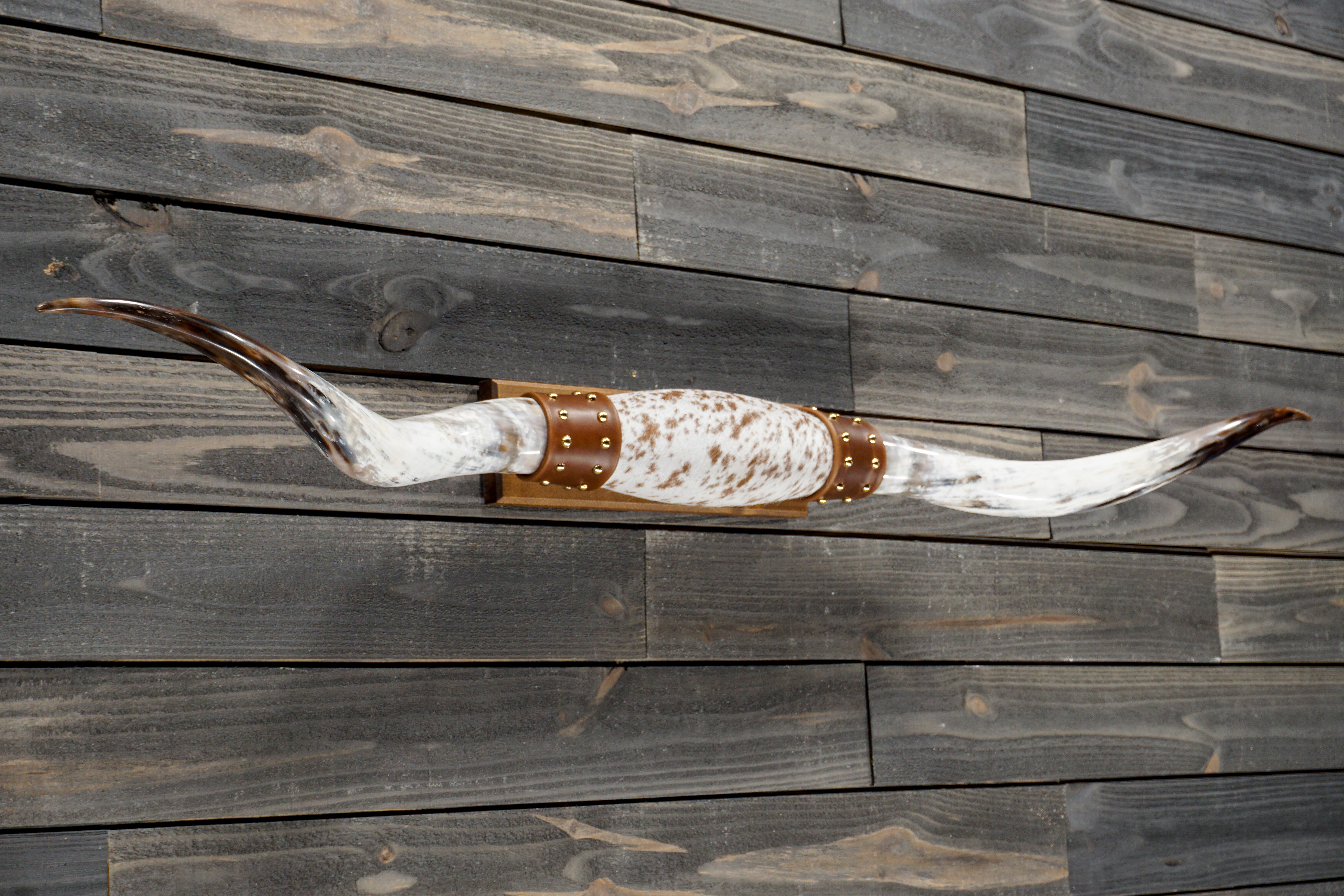 OxBow Builds Longhorn Wall Mounts and Western Decor – Oxbow Builds