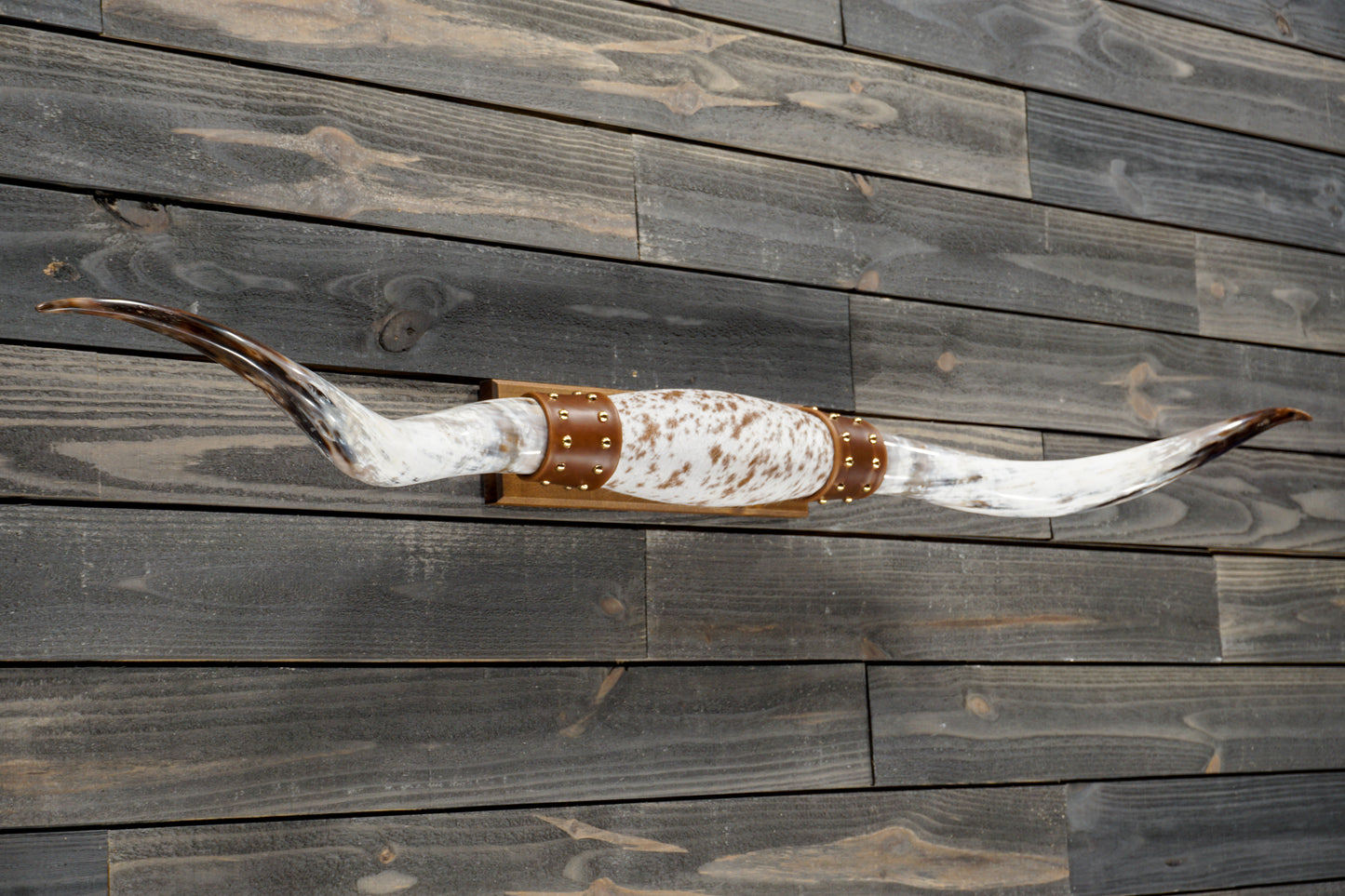5' 3" Longhorn Wall Mount #349