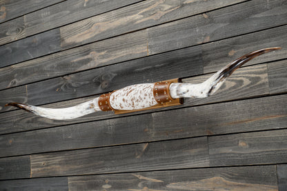 5' 3" Longhorn Wall Mount #349