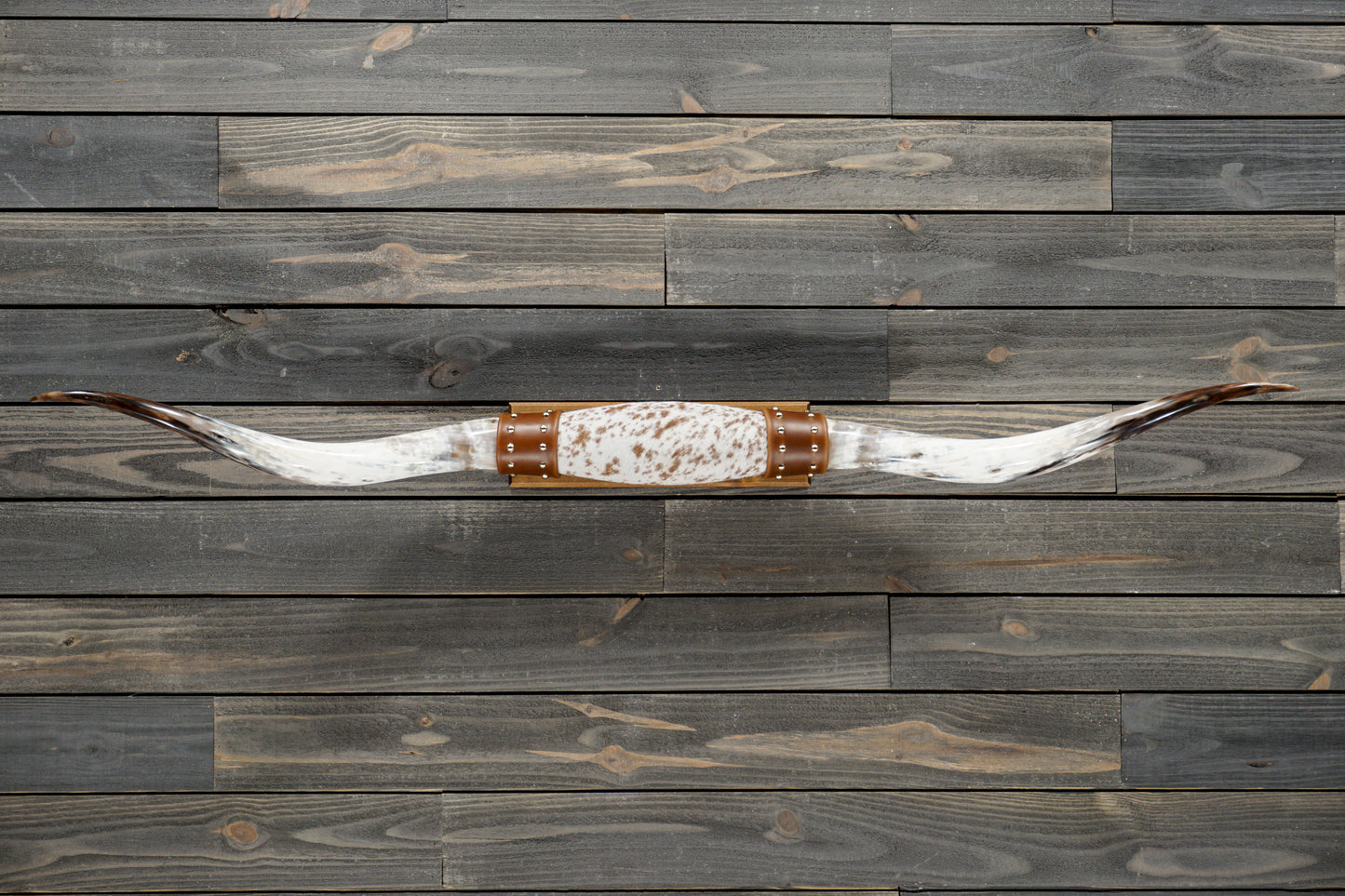 5' 3" Longhorn Wall Mount #349