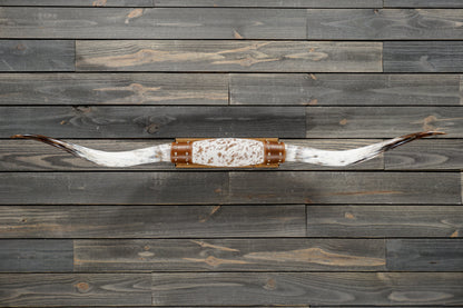 5' 3" Longhorn Wall Mount #349