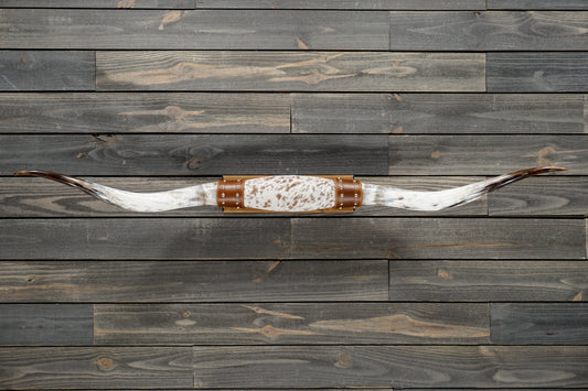 5' 3" Longhorn Wall Mount #349