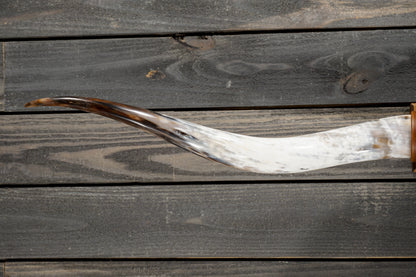 5' 3" Longhorn Wall Mount #349