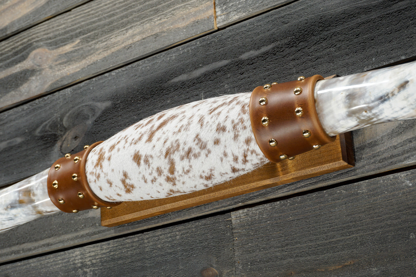 5' 3" Longhorn Wall Mount #349