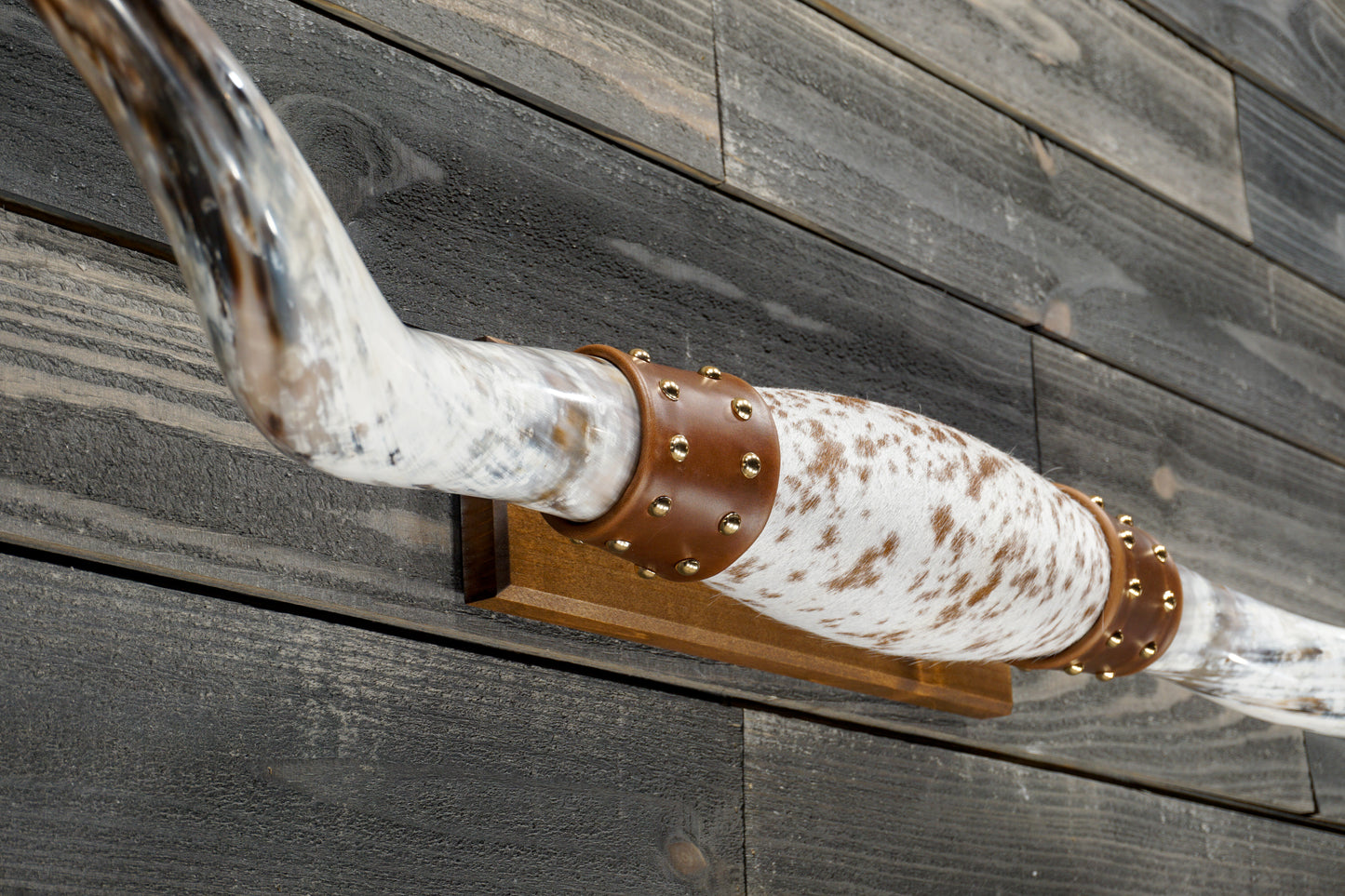 5' 3" Longhorn Wall Mount #349
