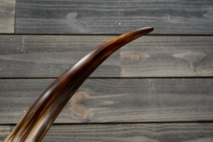 5' 8" Longhorn Wall Mount #352