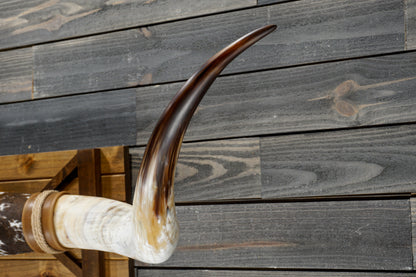 5' 8" Longhorn Wall Mount #352