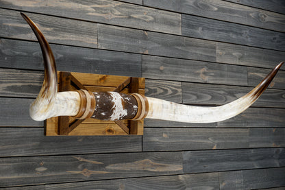 5' 8" Longhorn Wall Mount #352