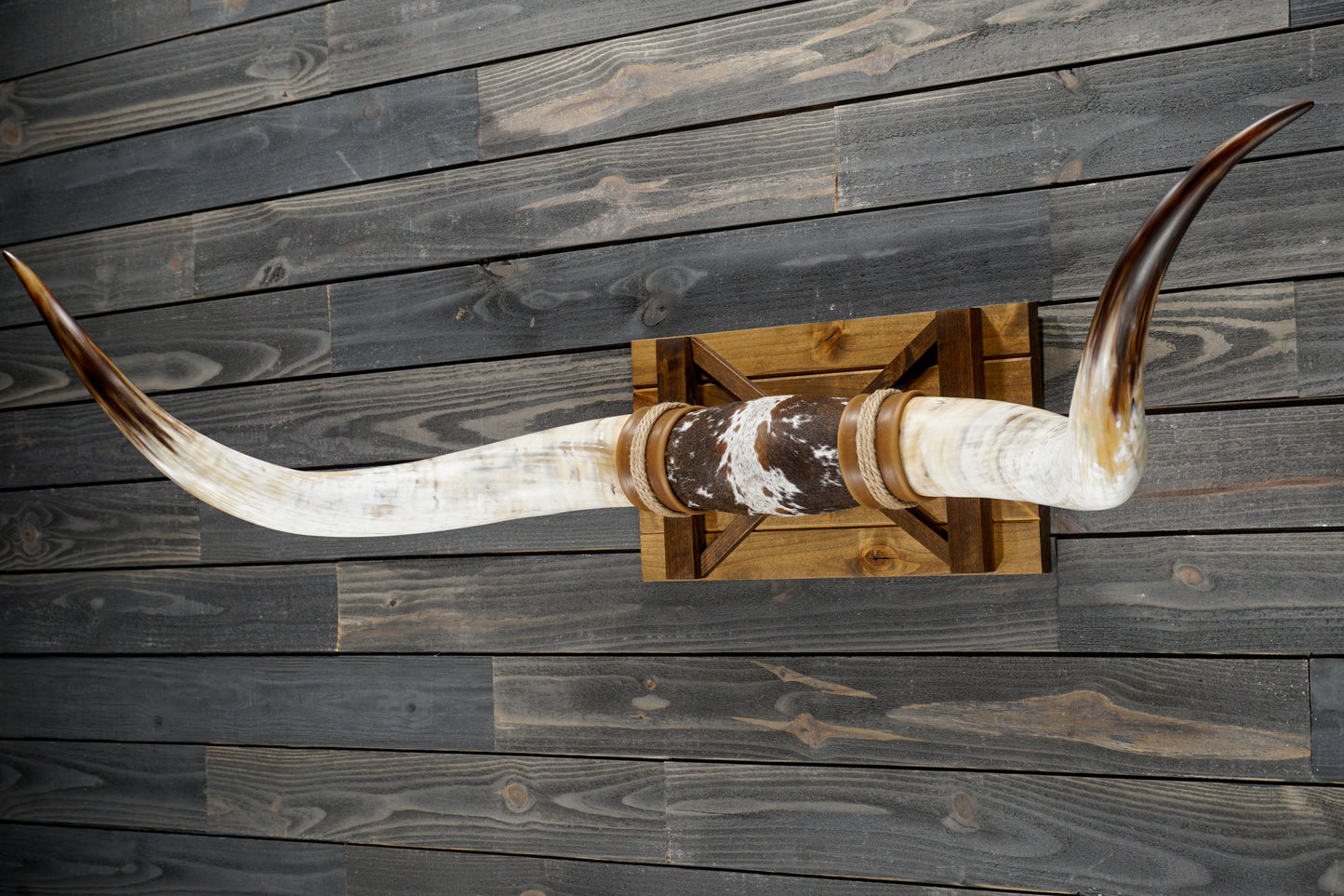 5' 8" Longhorn Wall Mount #352